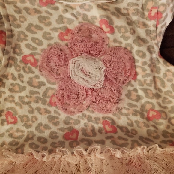 Mini Muffin Baby Girls Tulle Tutu Dress - Picture 2 of 4